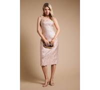 Dorothy Perkins Women's DP Luxe Bow Shoulder Jacquard Midi Dress in Pink | Size: 8 Dorothy Perkins Pink 8