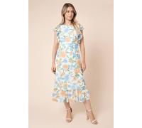 Dorothy Perkins Floral Frill Sleeve Belt Detail Mesh Jersey Midi Dress floral 8