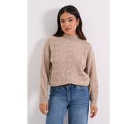 Dorothy Perkins Women's Petite Beige Twisted Cable Funnel Longline Jumper | Size: XL Dorothy Perkins Beige XL
