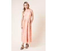 Womens Petite DP Luxe Lace Keyhole Midi Dress Peach 16