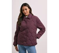 Dorothy Perkins Quilted Collared Jacket In Berry berry 16