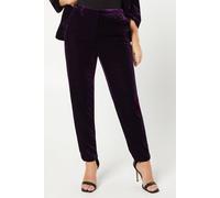 Dorothy Perkins Velvet Tailored Trouser In Midnight Purple midnight purple 14