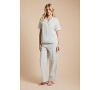 Dorothy Perkins Women's Gingham Short Sleeve Button Up Pyjama Set in Sage | Size: Small Dorothy Perkins Sage S