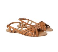 Dorothy Perkins Womens/Ladies Lattice Sling Back Flat Sandal DP5014