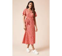 Dorothy Perkins Women's Petite Animal Wrap Front Jersey Midi Dress | Size: 14 Dorothy Perkins Animal 14
