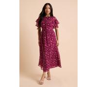Dorothy Perkins Women's Petite Berry Ditsy Flutter Sleeve Frill Yoke Printed Chiffon Midaxi Dress | Size: 14 Dorothy Perkins Berry 14