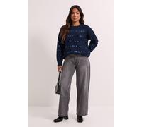 Dorothy Perkins Women's Petite Navy Sequin Stripe Knitted Jumper in Dark Navy | Size: XL Dorothy Perkins Dark Navy XL