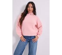 Dorothy Perkins Women's Petite Pearl neck Detail Jumper in Light Pink | Size: XL Dorothy Perkins Light Pink XL