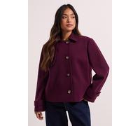 Petite Short Trench Coat Dorothy Perkins Burgundy 12