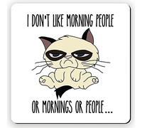 Dorothy Spring I Don't Like Morning People Or Mornings Or People Funny Square Wooden Gift Coaster Grumpy Cat