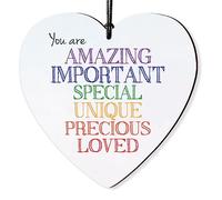 Dorothy Spring You are Amazing Important Special Loved Inspirational Hanging Wooden Heart Sign Wall Sign Love Plaque Gift for Friends Inspirational Keepsake Quote
