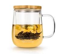 Dorsaer 500ml Glass Tea Cup with Infuser and Lid, Glass Tea Mug for Tea Steeping at Home and Office. Larger Glass Tea Cups, Clear Glass Tea Mugs with Infuser and lid