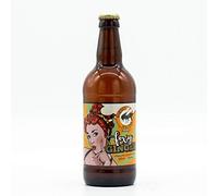 Dorset Nectar Cider - Foxy Ginger sparkling ginger cider, made in Dorset using farm grown English apples (6 x 500ml bottle pack)