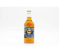 Dorset Nectar Cider - Jurassic Skyline medium-sweet sparkling craft cider made in Dorset using fine farm grown English apples (6 x 500ml bottle pack)
