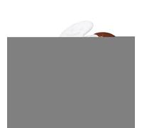 Dorugage Christmas Snack Serving Tray with Lid | Gingerbread Container | Christmas Snack Box Container | Holiday Tree Snowman Snowflake Candy Dish | Holiday Themed Cookie Box for Treats Nuts Dessert