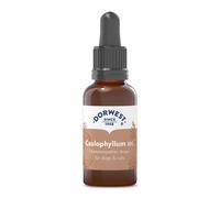 Dorwest Caulophyllum 30C Liquid for Kittens - 15ml