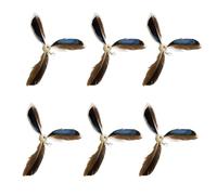 DOSERTY Cats Feathered Refills For Teasing Rod For Fun Interactive Play Kittens Wand Toy Felines Fitness Fishing Wand Toy