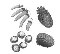 DOSERTY Horror Themed Fake Model Realistic PVC Cerebrum Heart Finger And Eye Model Prank Toy Halloween Party Decoration Realistic Fake Heart Decoration