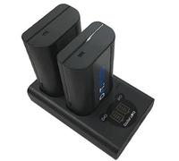 Dot.Foto DMW-BLJ31 Premium 3100mAh Battery (2-pack) & DMW-BTC14 type Fast USB LCD Dual Charger for Panasonic Lumix DC-S1, DC-S1H, DC-S1R