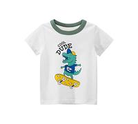 DOTBUY Childrens Short Sleeved T Shirts, 100% Cotton Cartoon Dinosaur Print Top Summer Nightwear Sleepwear Top Clothes for Age 1-10 Years Child Kids Boy Girl (Skateboard Dragon,100cm)