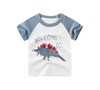 DOTBUY Childrens Short Sleeved T Shirts, 100% Cotton Cartoon Dinosaur Print Top Summer Nightwear Sleepwear Top Clothes for Age 1-10 Years Child Kids Boy Girl (Aqua Blue Dinosaur,100cm)