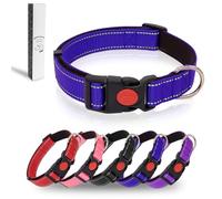 Dote on Dog Collar Reflective Adjustable Basic Dog Collar with Soft Neoprene Padding, Durable Nylon Pet Collars for Puppy Small Medium Large Dogs, Navy Blue, XS: 8-12inch
