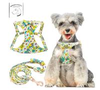 Dote on No Pull Dog Harness and Lead Set, Soft Adjustable Puppy Cat Harness, Floral/Plaid Escape Proof Pet Vest Harness for Extra Small/Small Medium Dogs, Yellow Flower, XXS