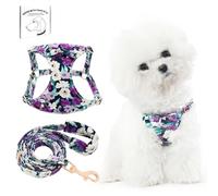 Dote on No Pull Dog Harness and Lead Set, Soft Adjustable Puppy Cat Harness, Floral/Plaid Escape Proof Pet Vest Harness for Extra Small/Small Medium Dogs, Dark Purple Flower, XXS