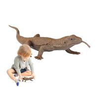 DOTIUWO Lizard Models Science Educational Props Early Teaching Accessories