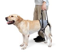 Dotoner Dog Lifting Harness, Dog Support Harness for Back Legs, Soft Support Sling for Injured Disabled Small, Medium Large Dogs, Sling for Back Legs, Lift Support Harness (S, Grey)