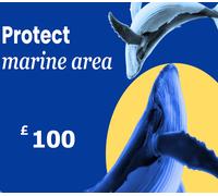 Dots.eco - Protect Marine Area GBP 100 Gift Card UK