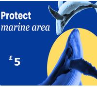 Dots.eco - Protect Marine Area GBP 5 Gift Card UK