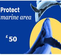 Dots.eco - Protect Marine Area GBP 50 Gift Card UK