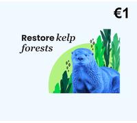 Dots.eco - Restore Kelp Forests EUR 1 Gift Card BE