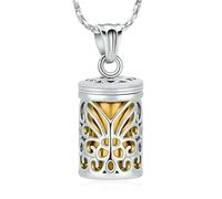 DOTUIARG Butterfly Cage Cremation Jewelry Cylinder Urn Necklace for Ashes Memorial Locket Pendant Funeral Keepsake for Women Men