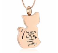 DOTUIARG Cat Ashes Urn Necklace Pet Cremation Urn Pendant for Ashes Keepsake Jewelry for Women Men