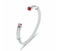 DOTUIARG Cremation Bracelet for Ashes Stainless Steel Urn Memorial Jewelry Inlaid Crystal Cuff Bangle Loved Ones Keepsake Gift for Women