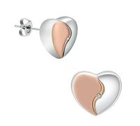 DOTUIARG Cremation Earring for Women Keepsake Memorial Urn Jewelry for Ashes of Loved Ones