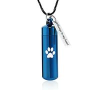 DOTUIARG Cremation Jewelry Paw Print Cylinder Urn Necklace for Ashes with Glass Jar Keepsake Urn Memorial Jewelry for Women/Men