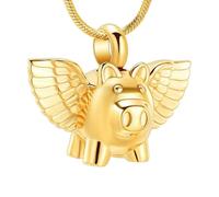 DOTUIARG Cremation Jewelry Urn Necklace for Ashes, Memorial Pendant Made of Stainless Steel, Keepsakes Locket