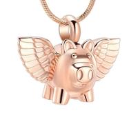 DOTUIARG Cremation Jewelry Urn Necklace for Ashes, Memorial Pendant Made of Stainless Steel, Keepsakes Locket