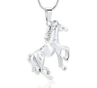 DOTUIARG Cremation Jewelry Urn Necklace for Ashes Stainless Steel Ash Pendant Keepsake Memorial for Necklace for Men Women