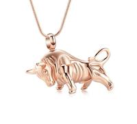 DOTUIARG Cremation Jewelry Urn Pendant Stainless Steel Pet cremation jewelry Ornaments Necklace