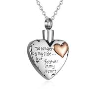 DOTUIARG Heart Cremation Necklace for Human Ashes Stainless Steel Memorial Urn Pendant Keepsake Ashes Jewelry for Loved Ones