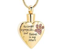 DOTUIARG No Longer By My Side But Forever In My Heart Cremation Jewelry For Ashes Stainless Steel Pet Paw Keepsake Memorial Urn Necklaces