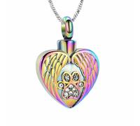 DOTUIARG Pet Paw Print Heart Urn Necklace for Ashes for Dog/Cat Stainless Steel Angel Wing Heart Urn Locket Pendant