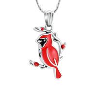 DOTUIARG Red/Blue Cremation Necklace For Ashes Of Loved Ones Keepsake Memorial Urn Jewelry Women Men