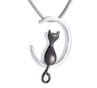 DOTUIARG Silver/Gold/Black Moon & Cat Shape Jewelry Cremation Jewelry Pet Ashes Urns Necklace Memorial Pendant For Women/Men