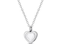 DOTUIARG Stainless Steel Memorial Heart Pendant Cremation Jewelry for Ashes for Human Keepsake Urn Necklace for Human Pet Ashes