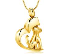 DOTUIARG Urn Necklace for Ashes Dog Cremation Jewelry Stainless Steel Ashes Pendant Pet Dog/Cat Keepsake Memorial Jewelry for Man Women